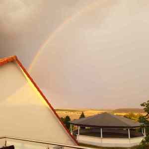 WhatsApp-Image-2026-02-17-at-11.43.23-2