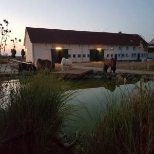 WhatsApp-Image-2026-02-17-at-11.43.24-4