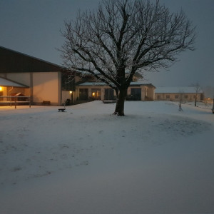 WhatsApp-Image-2026-02-17-at-11.43.25-1