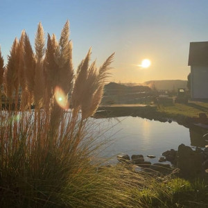 WhatsApp-Image-2026-02-17-at-11.43.25-5