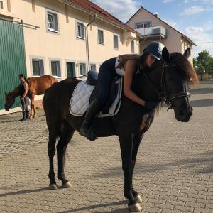 WhatsApp-Image-2026-02-17-at-11.43.27-2