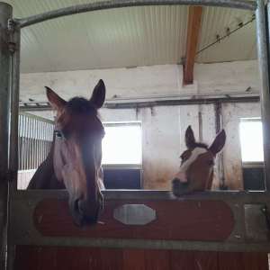 WhatsApp-Image-2026-02-17-at-11.43.28-1