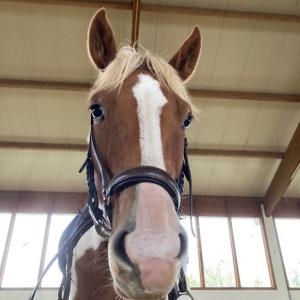 WhatsApp-Image-2026-02-17-at-11.43.28-3