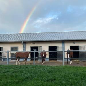 WhatsApp-Image-2026-02-17-at-11.43.28-4