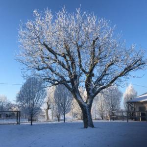 WhatsApp-Image-2026-02-17-at-11.43.29-2