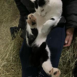 WhatsApp-Image-2026-01-05-at-09.44.05-1