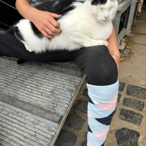 WhatsApp-Image-2026-01-05-at-09.44.09-2