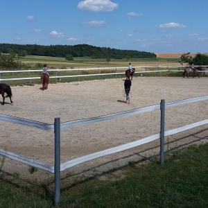 WhatsApp-Image-2026-02-17-at-11.43.00