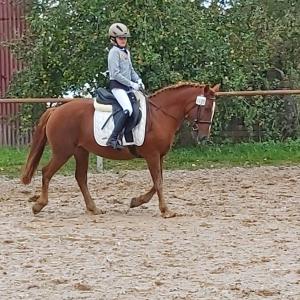 WhatsApp-Image-2026-02-17-at-11.43.21-8