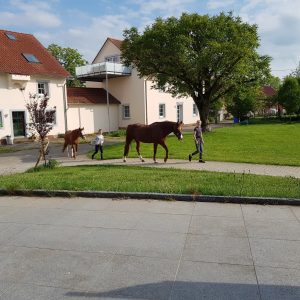 WhatsApp-Image-2026-02-17-at-11.43.22-1