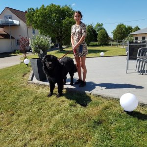 WhatsApp-Image-2026-02-17-at-11.43.22-4