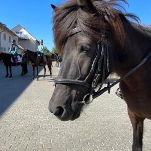 WhatsApp-Image-2026-02-17-at-11.43.26-1