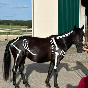 WhatsApp-Image-2025-10-28-at-09.53.26