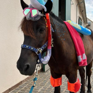 WhatsApp-Image-2026-01-05-at-09.44.06-1