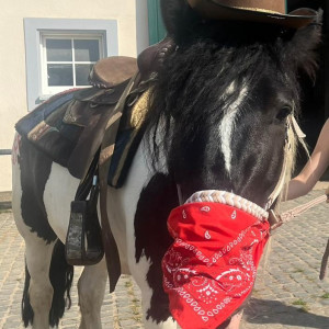 WhatsApp-Image-2026-01-05-at-09.44.08-2