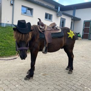 WhatsApp-Image-2026-01-05-at-09.44.09-1