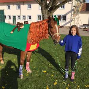 WhatsApp-Image-2026-02-17-at-11.43.08