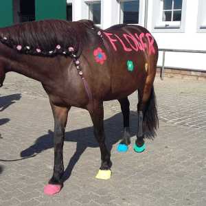 WhatsApp-Image-2026-02-17-at-11.43.14-4