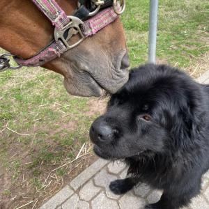 WhatsApp-Image-2025-10-28-at-09.53.25-1