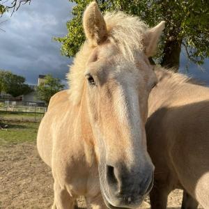 WhatsApp-Image-2025-10-28-at-09.53.25