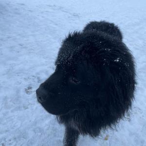 WhatsApp-Image-2026-01-05-at-09.44.00-1