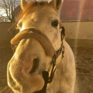 WhatsApp-Image-2026-01-05-at-09.44.00