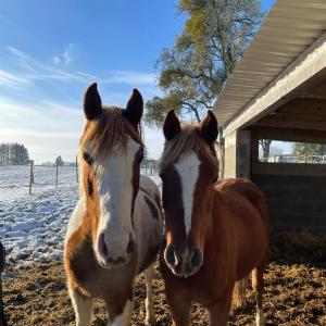 WhatsApp-Image-2026-01-05-at-09.44.07-2