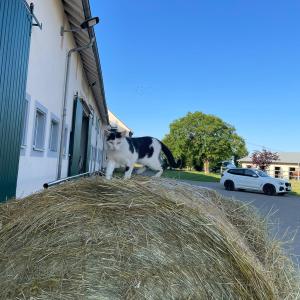 WhatsApp-Image-2026-01-05-at-09.44.08