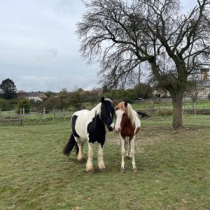 WhatsApp-Image-2026-01-05-at-09.44.11-2