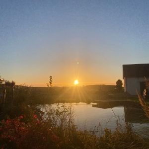 WhatsApp-Image-2026-01-05-at-09.44.11-3