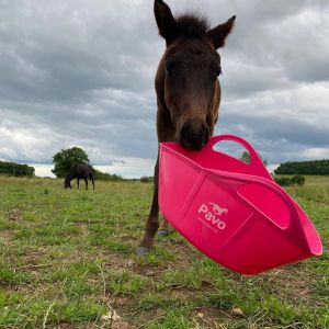 WhatsApp-Image-2026-01-05-at-09.44.14-3