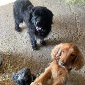 WhatsApp-Image-2026-01-07-at-16.30.47-1