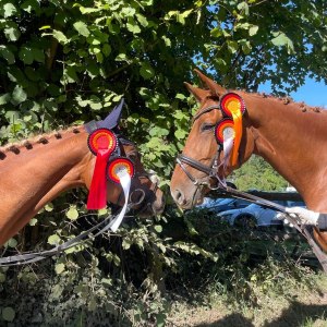 WhatsApp-Image-2026-01-07-at-16.30.48-1