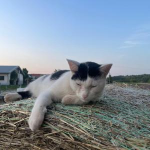 WhatsApp-Image-2026-01-07-at-16.30.48