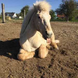 WhatsApp-Image-2026-02-17-at-11.43.12