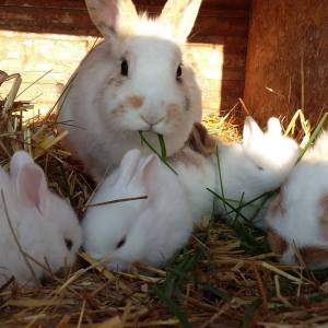 WhatsApp-Image-2026-02-17-at-11.43.13-3