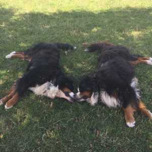 WhatsApp-Image-2026-02-17-at-11.43.13