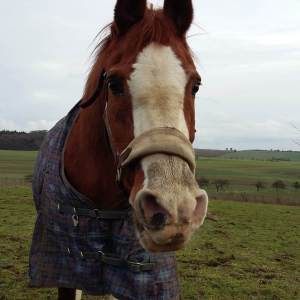 WhatsApp-Image-2026-02-17-at-11.43.14-1