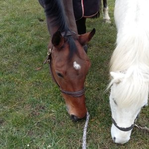 WhatsApp-Image-2026-02-17-at-11.43.14