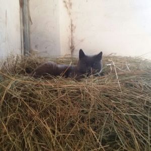 WhatsApp-Image-2026-02-17-at-11.43.16-8