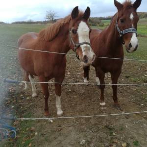 WhatsApp-Image-2026-02-17-at-11.43.17