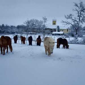 WhatsApp-Image-2026-02-17-at-11.43.19-4