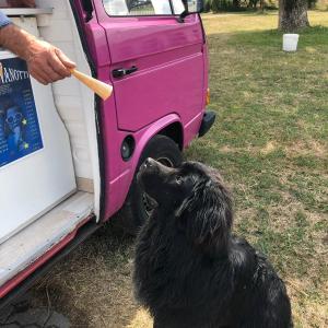 WhatsApp-Image-2026-02-17-at-11.43.20-3