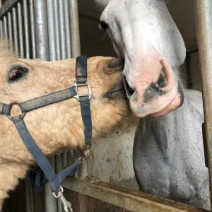 WhatsApp-Image-2026-02-17-at-11.43.21-4