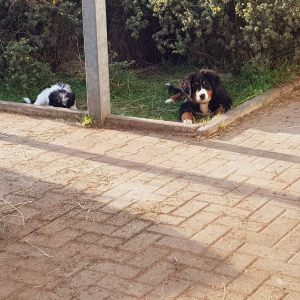 WhatsApp-Image-2026-02-17-at-11.43.24-3