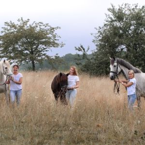 WhatsApp-Image-2026-02-17-at-11.43.25-4