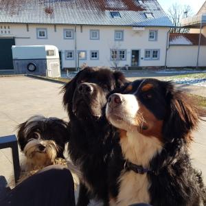 WhatsApp-Image-2026-02-17-at-11.43.25