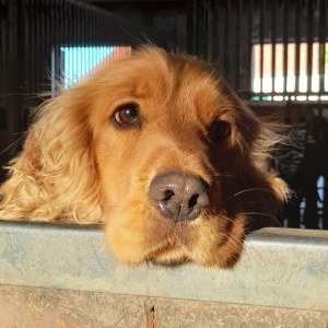 WhatsApp-Image-2026-02-17-at-11.43.27-4