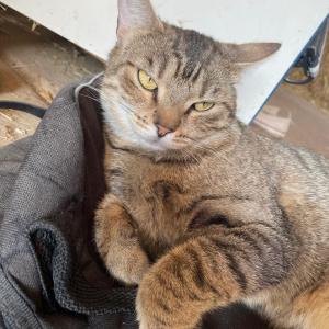 WhatsApp-Image-2026-02-17-at-11.43.27-5