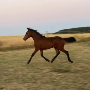 WhatsApp-Image-2026-02-17-at-11.43.27-6